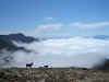Bergweg Tarija - Tupiza: boven de wolken