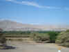 Nasca - woestijnkust met groene dalen...
